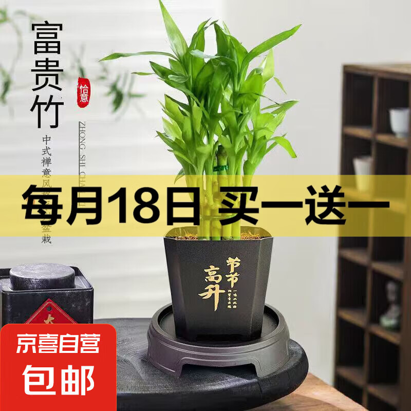 ������ ���ֱ��Լ8cm