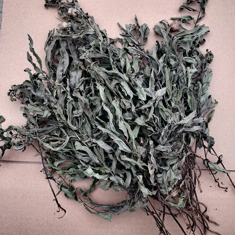 晒干小蓟草萋萋菜七七芽刺儿菜当季新货青青草狗牙刺野红花刺京東i