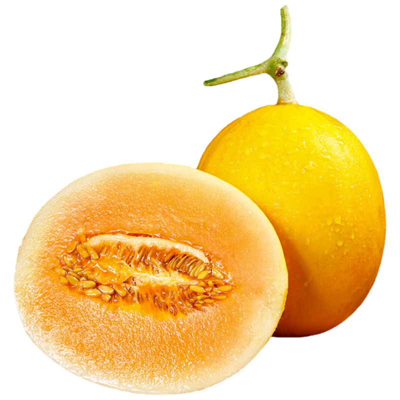 ������ �۹� 8-9�� 2-3��װ ����2����