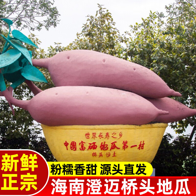 有鮮氣海南澄邁橋頭地瓜金手指板栗薯紅薯新鮮番薯山芋名門金時(shí)現(xiàn)挖 金手指3斤(凈重)
