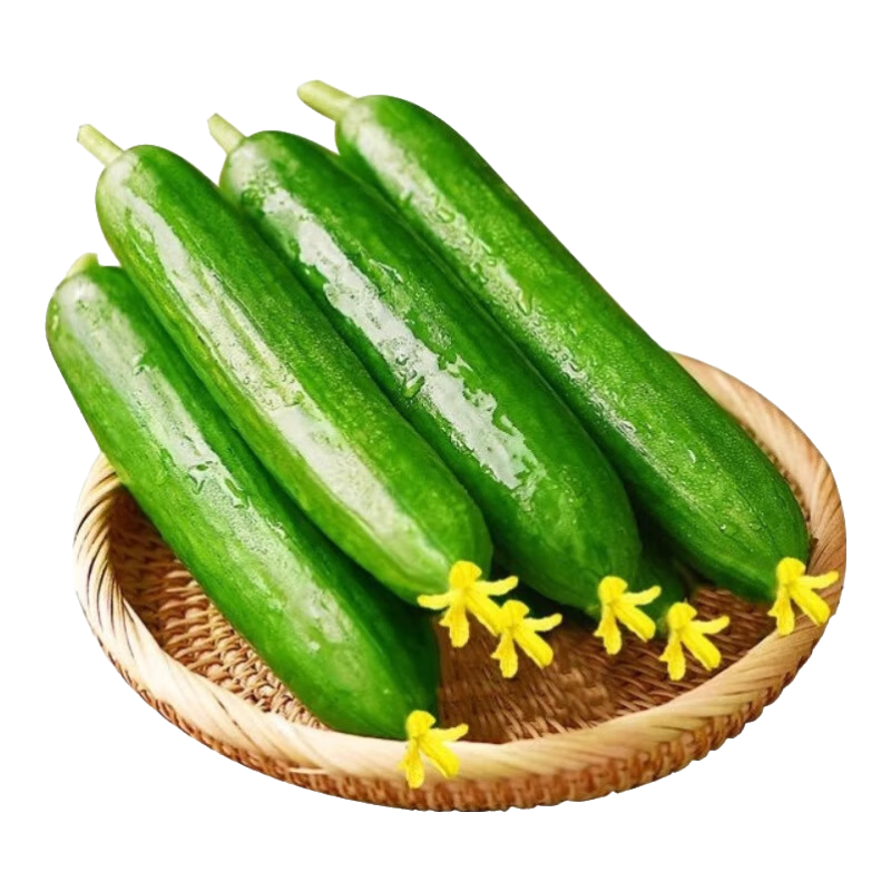 �ٽ��ۣ�ˮ���ƹ� ����3�������90g