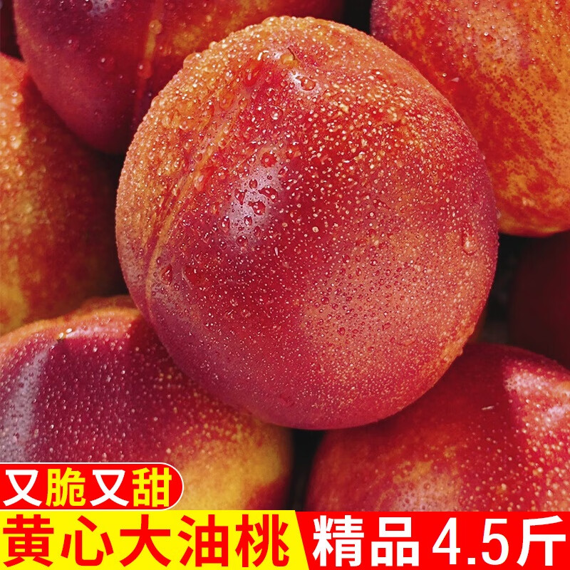 绿熊庄园黄心红油桃 脆甜黄肉桃子新鲜水果现摘应季生鲜山西运城源头直发 净4.5-5斤 大果50mm【软硬两吃】