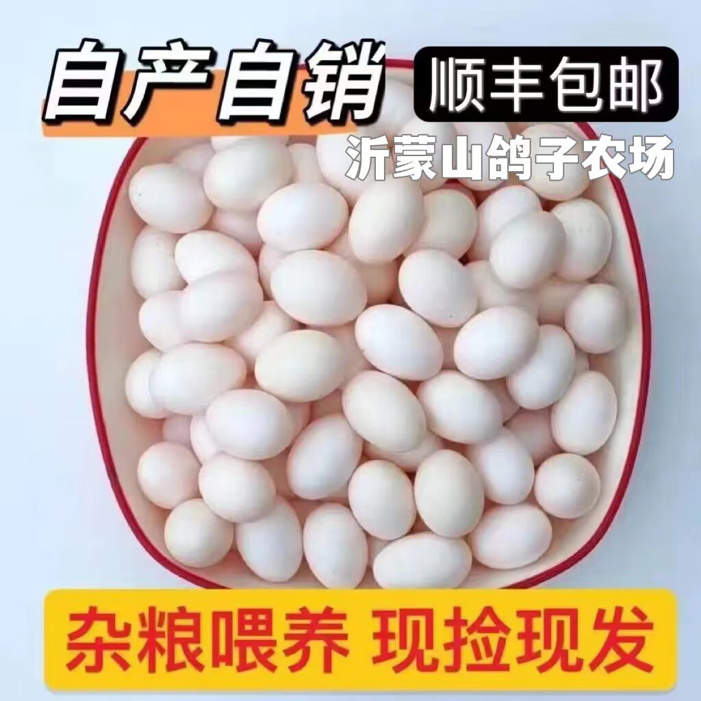 三棲虎鴿子蛋新鮮60枚白鴿蛋土鴿蛋沂蒙山農(nóng)家五谷雜糧喂養(yǎng)鮮鴿蛋 60枚