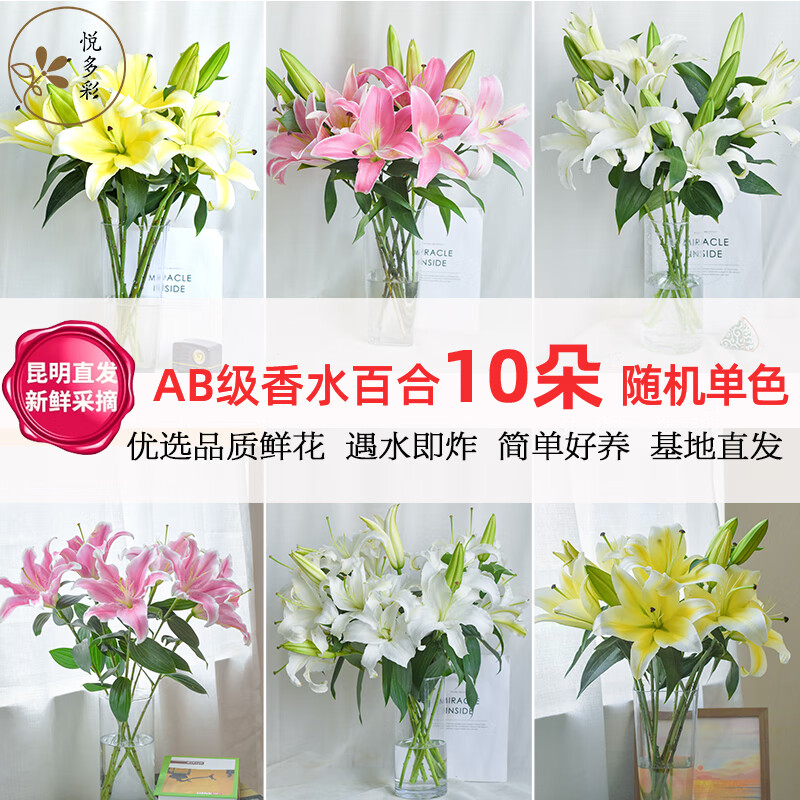 悦多彩AB级优质香水百合 家庭办公室各色生活鲜花 昆明基地 现采直发 随机单色百合10朵（双头5枝）