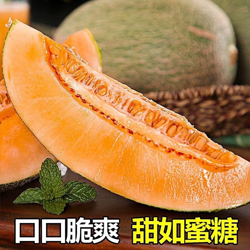 果迎鲜哈蜜瓜甜瓜新鲜水果香瓜生鲜脆甜 净果4.5斤装