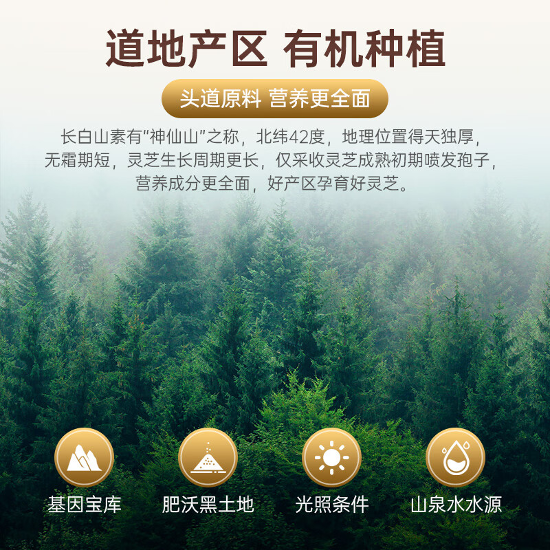 池润【高品质】长白山头道破壁灵芝孢子粉增强免疫力富含孢子油 第四代破壁灵芝孢子粉胶囊40粒*4盒【阶段量】