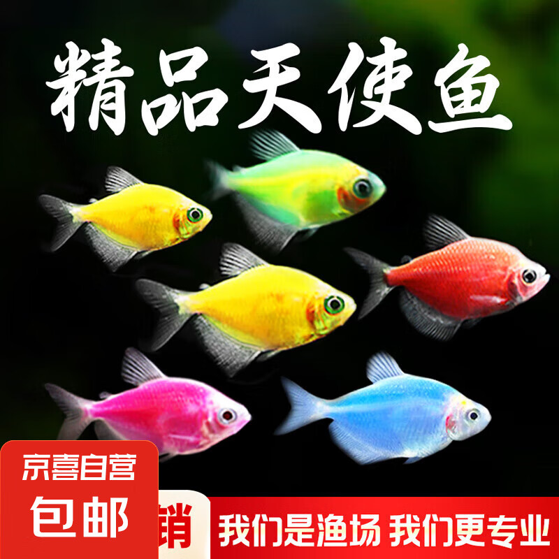  ʹСȴˮֳʹǹɫˮ ʹ3-4cm ɫ 1+10.9Ԫ