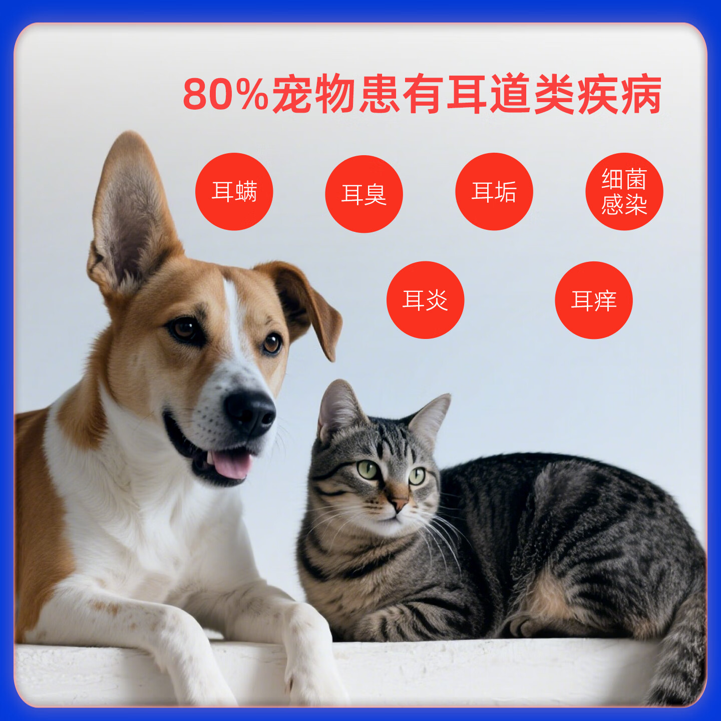 金宇生物复方制霉菌素软膏猫咪耳炎耳螨软膏耳道马拉感染真菌色菌犬猫通用 金宇复方耳部软膏*1支