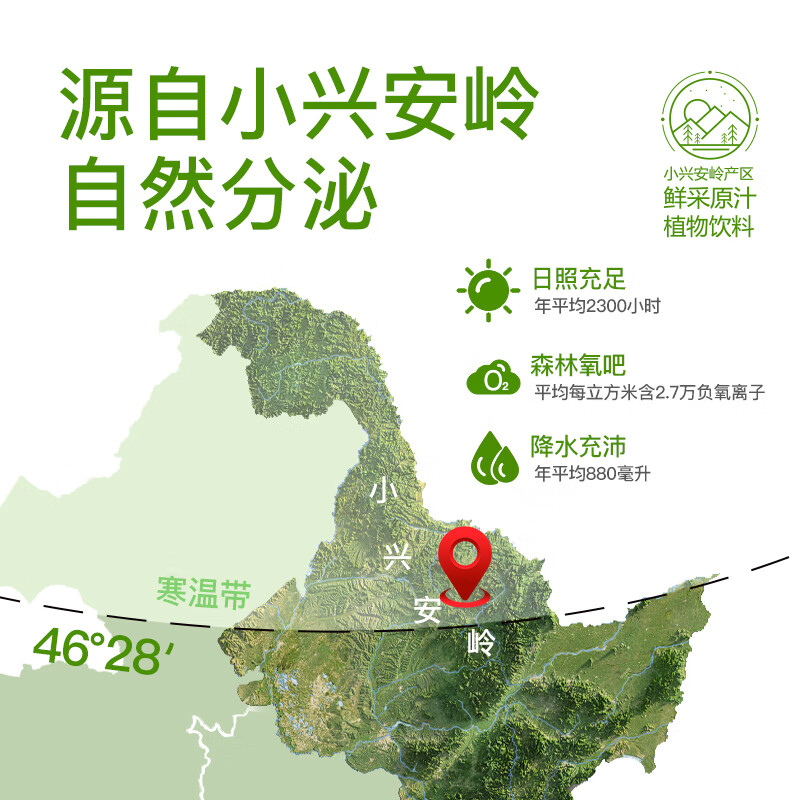 第28街100%白桦树汁NFC原汁原液天然小兴安岭植物饮料0卡脂肪无糖果蔬汁 100%白桦树汁（尝鲜）6瓶