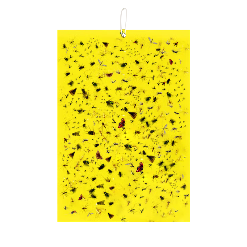 γճưճ20ӬóСɳղ15cm*20cm8.46Ԫ