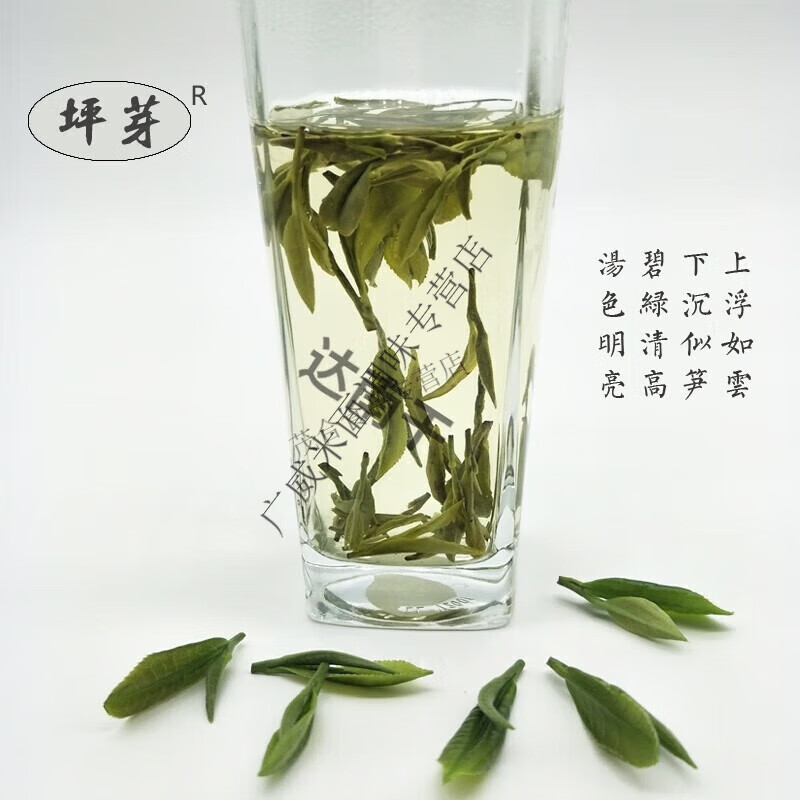 43号龙井茶叶陇南文县碧口李子坝雨前龙井2024陇南绿茶甘肃 春茶半斤