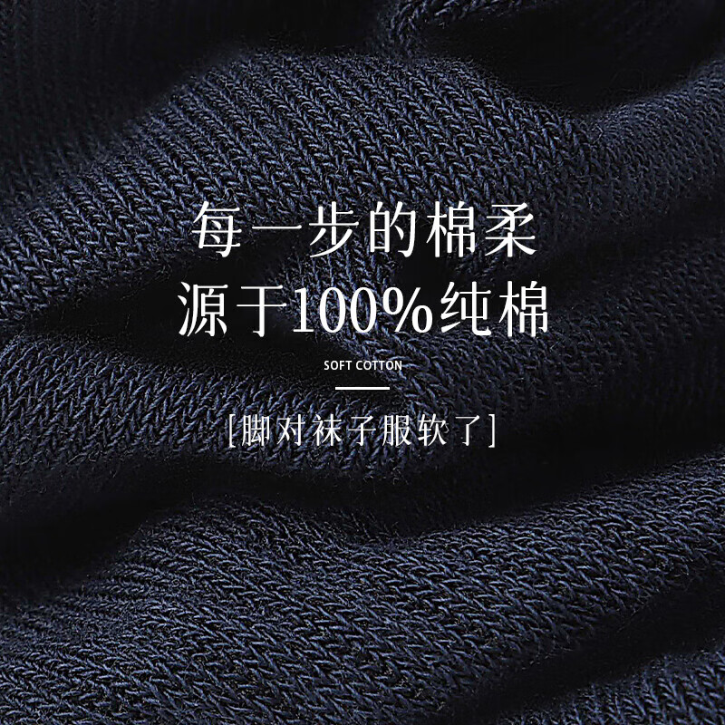 浪莎袜子男100%纯棉夏季男士袜子吸汗透气抗菌中筒棉袜防臭抗起球男袜 混色7双装（抗菌防臭纯棉男袜） 均码