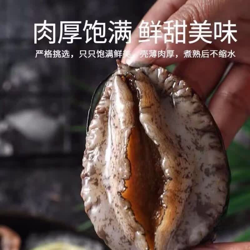 特大号鲜活鲍鱼新鲜冷冻鲍鱼批发鲍鱼冷冻鲍鱼新鲜大号 10头鲍*1袋【10只装】