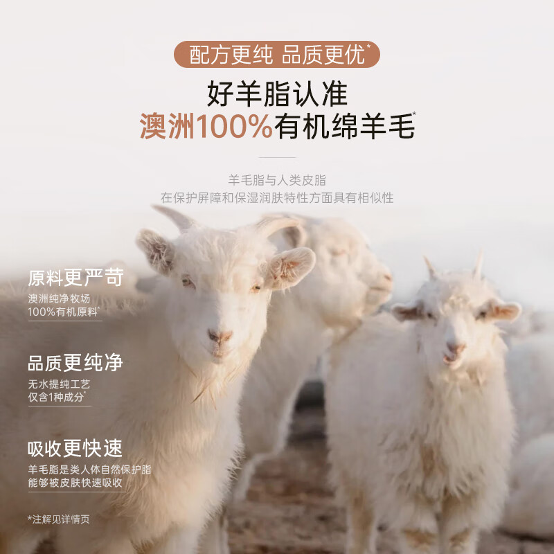 袋鼠妈妈羊脂膏乳头霜准孕妇预防皲裂乳头膏身体舒缓修护润肤羊毛脂护肤品 【四季广口款】羊毛脂修护膏28g