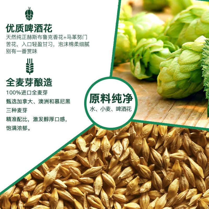 雪花全麦5号 全麦芽高浓度醇香啤酒 全麦芽酿造 500mL 24罐 组合装