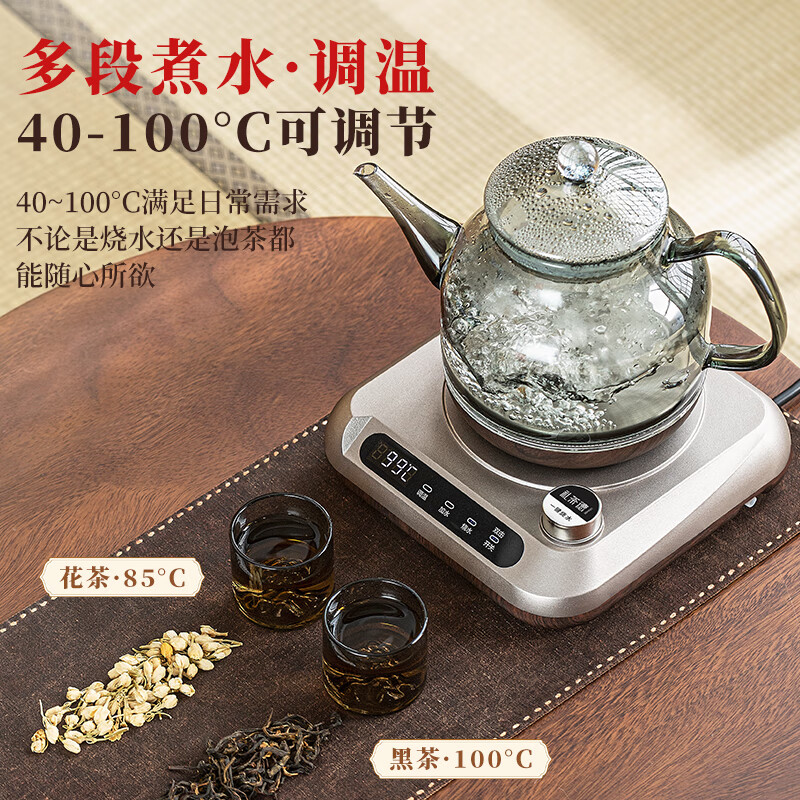 礼茶德煮茶养生壶纯钛电热水壶全自动底部上水办公室养生壶全玻璃烧水壶大容量水果茶煮茶壶花茶壶小家电 1.2L 纯钛材质【底部上水】净水器款