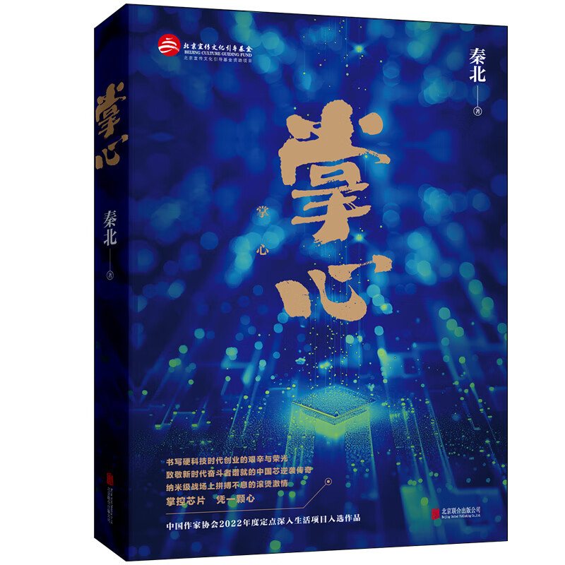【旗舰店正版】 掌心 紧扣“国产替代”“卡脖子技术”等社会热点 深入中国半导体产业腹地 致敬新时代奋斗者 现实主义长篇小说 掌心