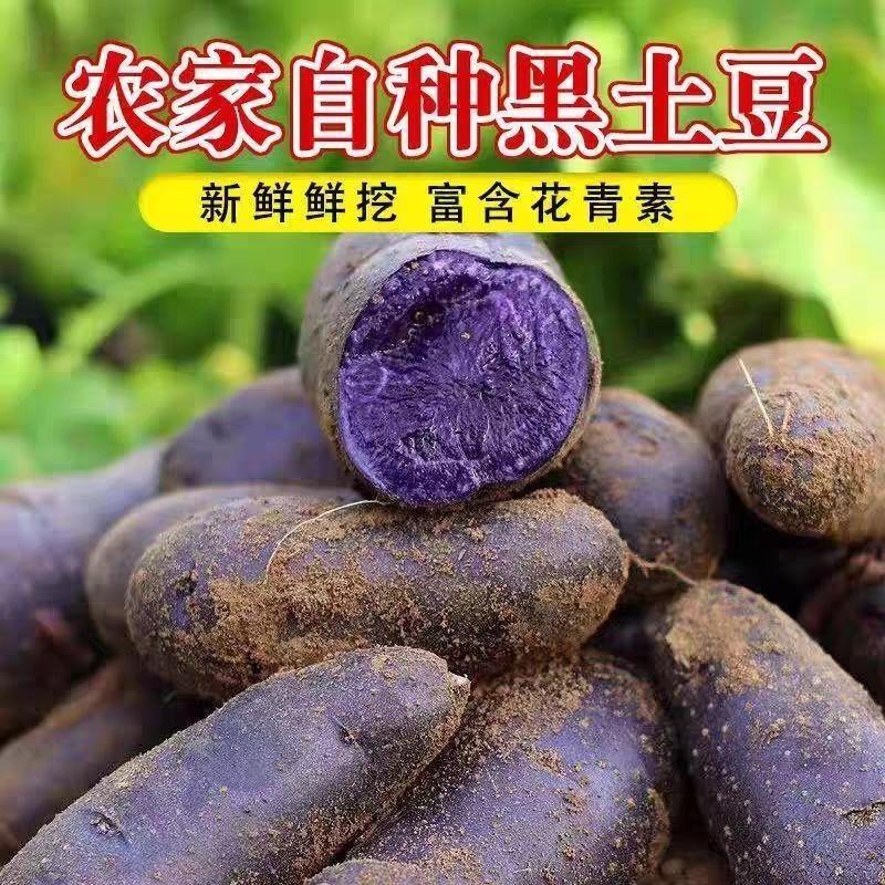 甘肃定西现挖黑土豆黑美人黑金刚紫土豆紫色马铃薯黑洋芋含花青素 1kg