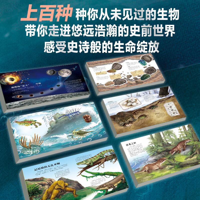生命简史 穿越地球46亿年 4册 远古生物 入围2025中国好书 儿童中小学生青少年历史科普读物宇宙起源地球形成生命诞生史前世界探索