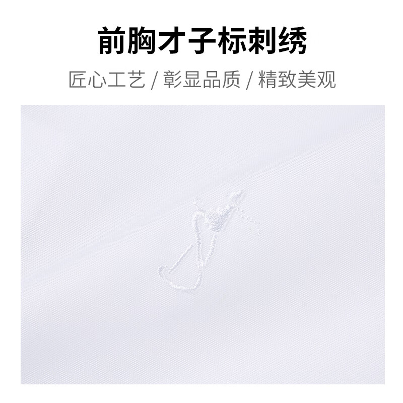 才子(TRIES)商务休闲长袖衬衫纯色百搭白衬衣刺绣logo弹力修身职业职场正装衬 白色 2XL 41(175/96A)