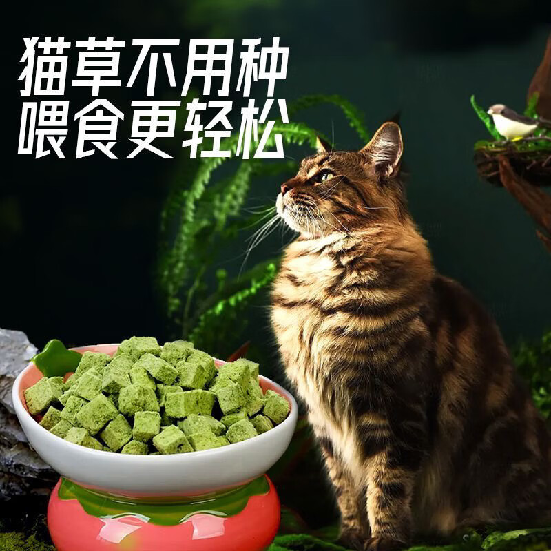 阿飛和巴弟（Alfie&Buddy）凍干貓草粒貓咪零食美毛化毛潔齒磨牙貓草塊貓薄荷餅干片 【約79顆】+65ML密封罐 【雞肉+貓草】化毛