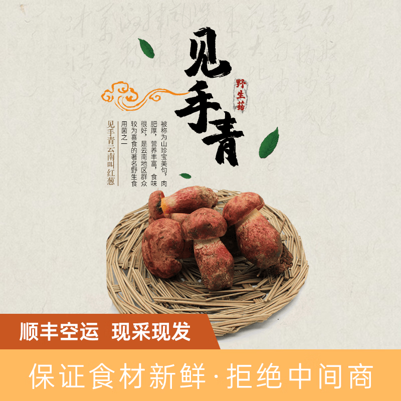 云南野生见手青新鲜牛肝菌当季野生菌红葱蘑菇野生顺丰现发见手青 520g一斤精品质量装