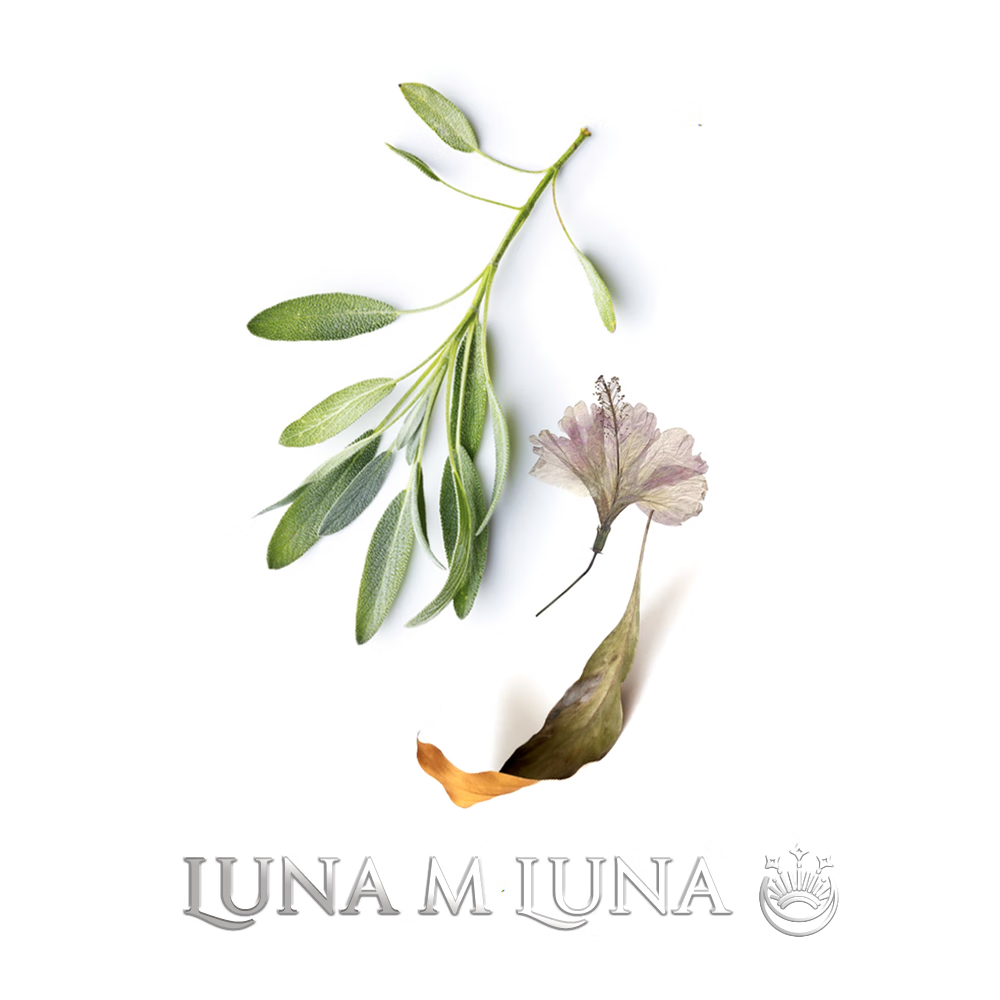LUNAMLUNA【7026季风】男女乌龙茶雪松清新香水橙花轻奢中性香礼物 30ml