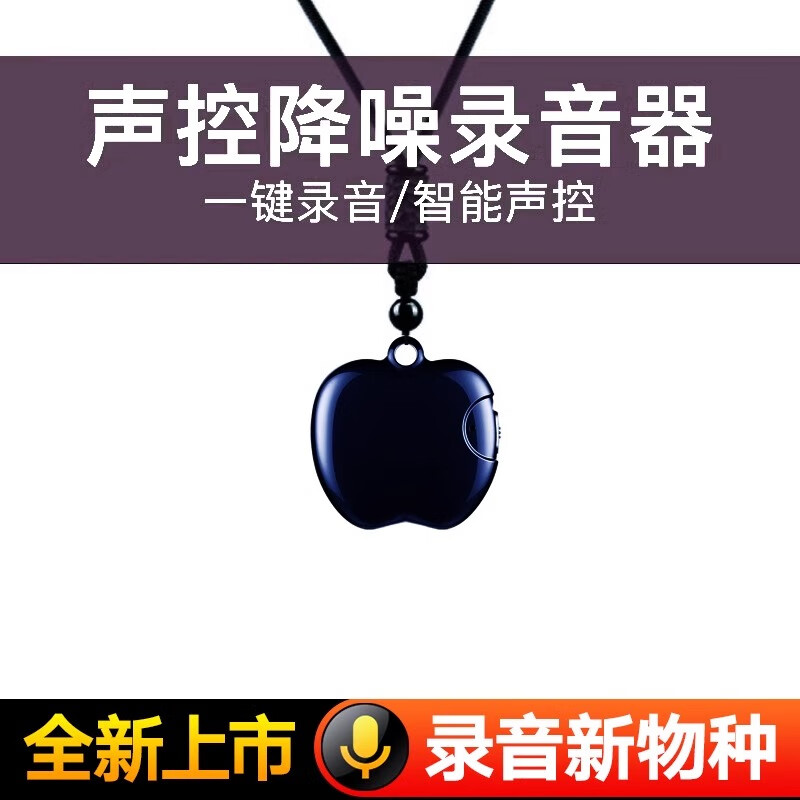 卓強(qiáng)錄音筆小隨身高清降噪聽音器設(shè)備轉(zhuǎn)文字超長待機(jī)掛件錄音神器 經(jīng)典旗艦版 4GB x 官方標(biāo)配