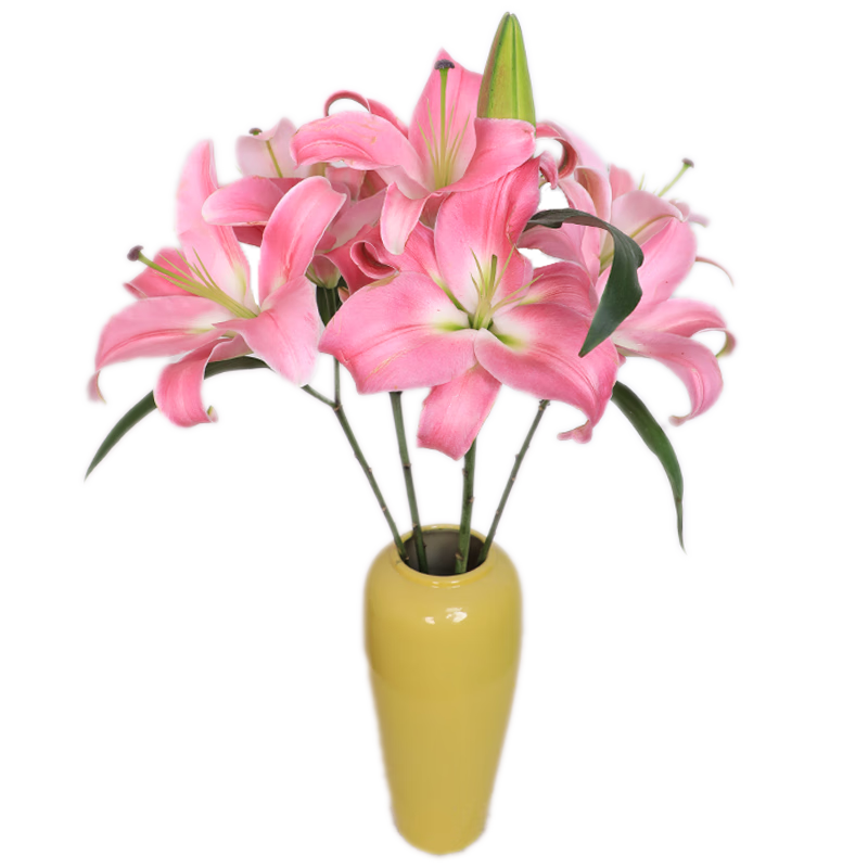 ��ˮ�ٺ��ʻ�ˮ��6������ֱ��AB��