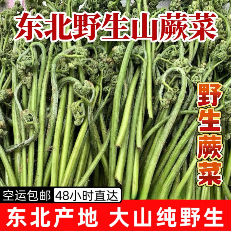 鮮美驚【順豐】東北新鮮山野菜野蕨菜猴腿菜綠蕨菜正宗東北野生山菜 500g 【新鮮采摘-順豐】