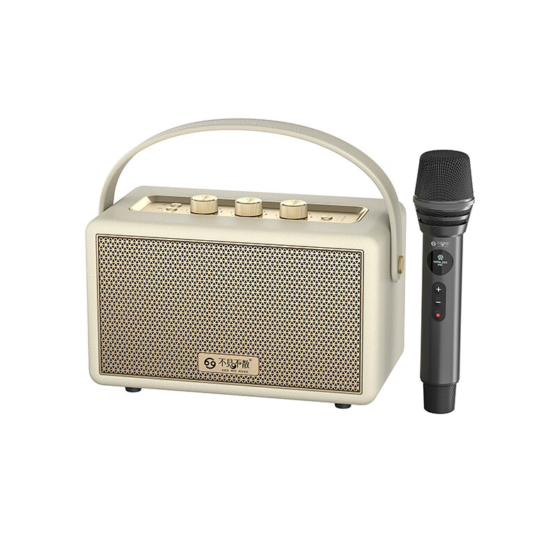 不见不散W100K蓝牙音响家庭K歌一体机麦克风家用套装ktv全套设备声卡连电视连手机便携式插卡U盘专业音箱 乳酪白【单麦】