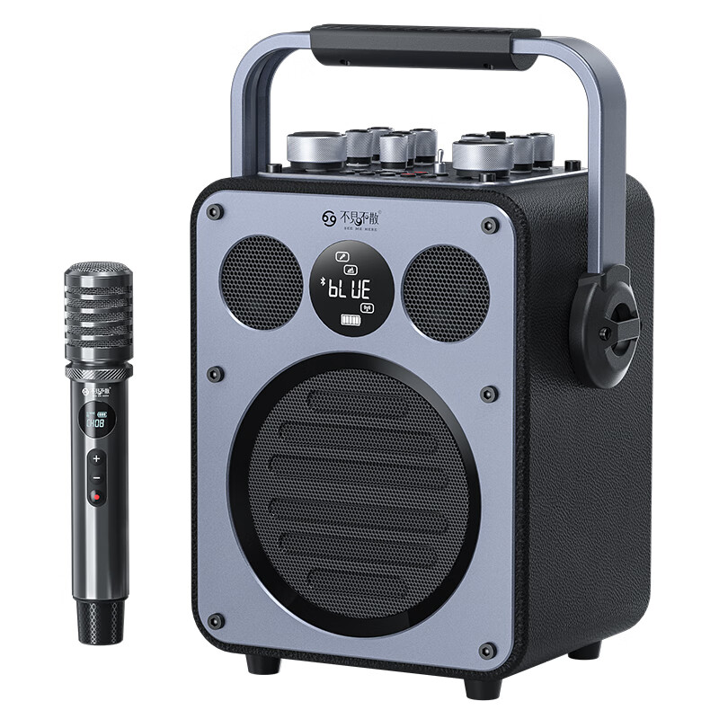 不见不散流浪者D5户外K歌直播音响礼物喇叭超重低音炮手提便携式麦克风一体家庭KTV广场舞蓝牙音箱高音质 雅典黑 | 双麦版+送收纳包+16G U盘