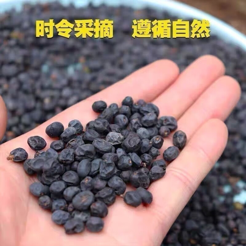 秦岭高山野生女贞子泡茶泡酒泡水自采散装霜后采摘特级女贞子包邮 高山野生女贞子《500克1斤装》 京东折扣/优惠券