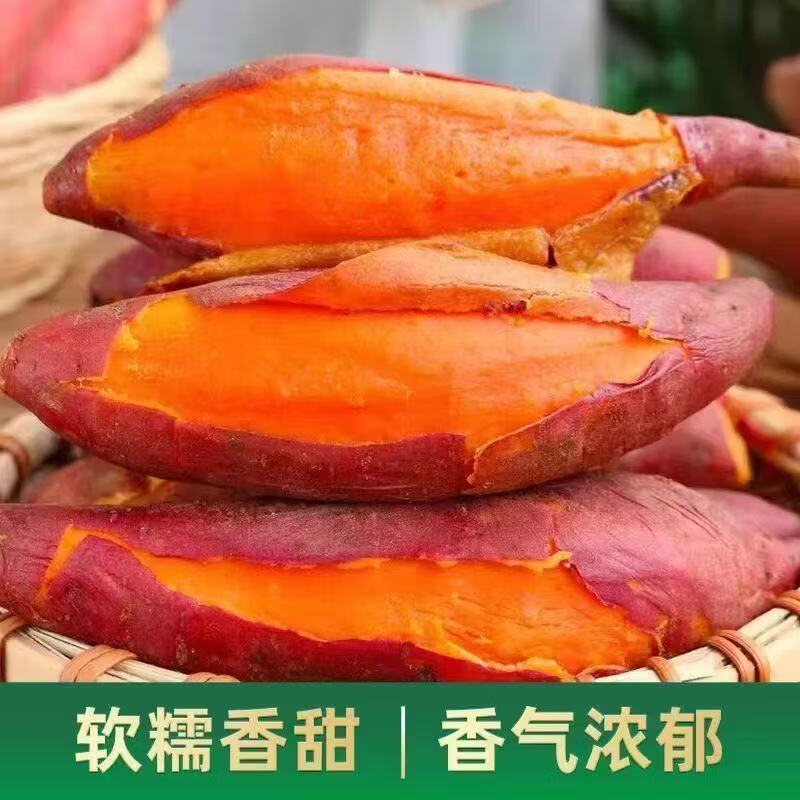 【热卖】农家龙九蜜薯新鲜农家自种沙地蜜薯地瓜整箱批发 蜜薯 5斤 带箱 小果