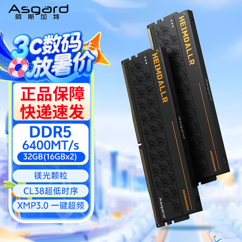 阿斯加特（Asgard）海姆达尔6000c28 	32GB(16GBx2) DDR5 6000 台式机内存条 海姆达尔 马甲条 海力士A-die CL28 黑厚 6400 C38 海姆达尔-黑 镁光颗