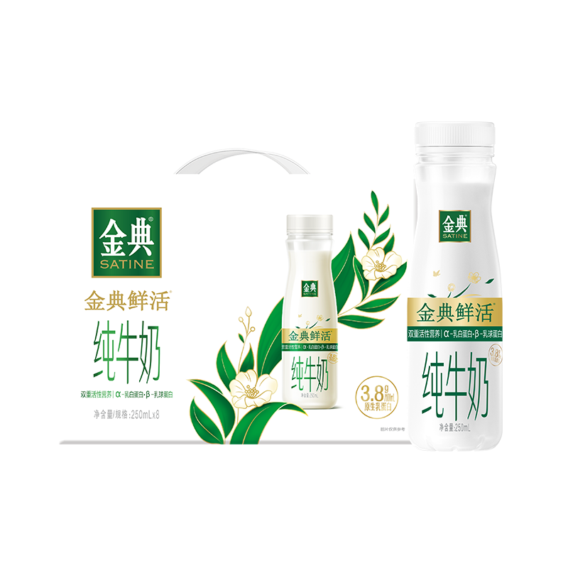 伊利金典3.8g乳蛋白 鲜活纯牛奶整箱 250ml*8瓶 30天常温短保 礼盒装