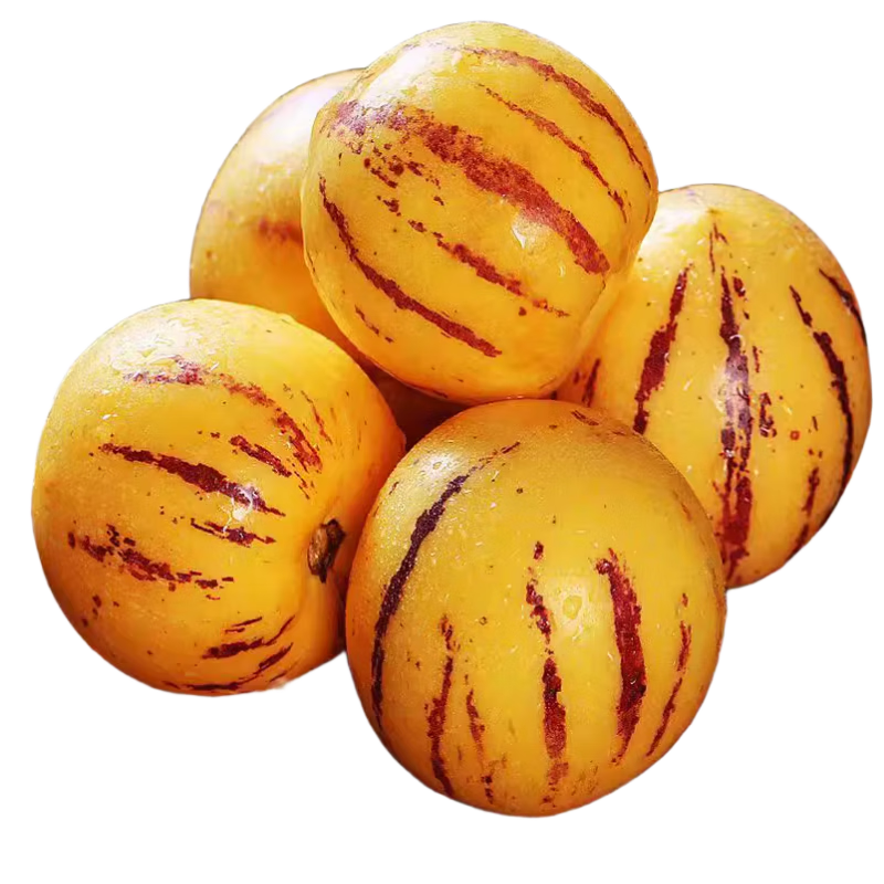 京鲜生 云南石林人参果 净重3斤单果80g+ 中秋礼品源头直发包邮