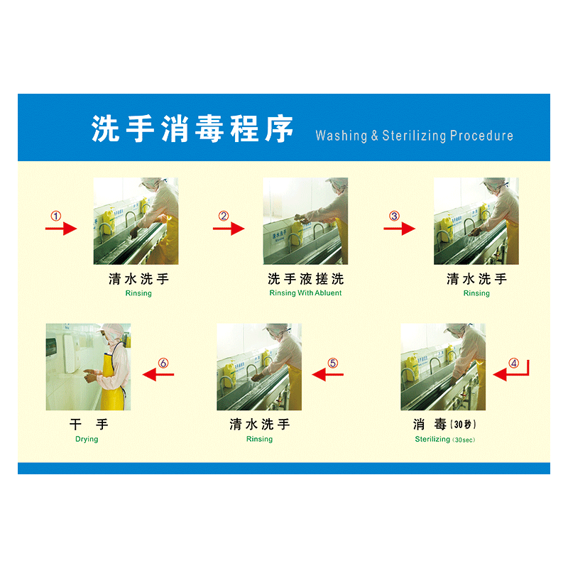 澳颜莱工厂车间工作流程挂图海报食品厂洗手消毒程序宣传画墙贴纸txh