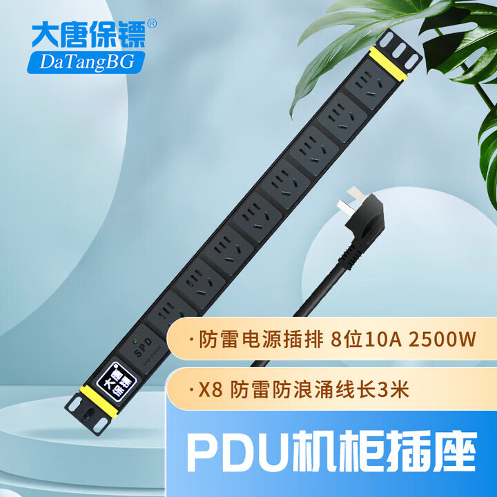 大唐保镖 PDU插座 8位10A 2500W 防雷电源插排 HP6606 黑色 现货