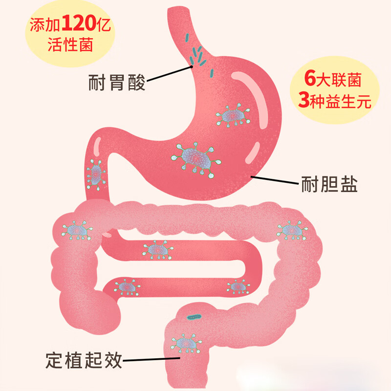 康保聪益生菌粉补充益生菌儿童宝宝益生元成人益生菌冲剂乳酸菌30袋/盒 2送1（90支）