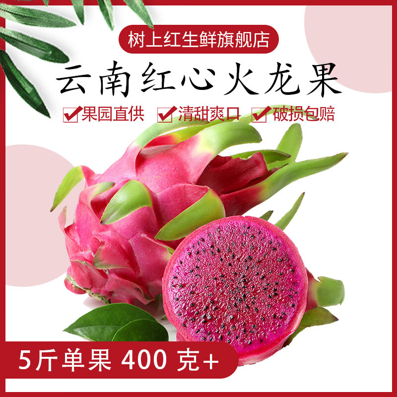云南红心火龙果新鲜采摘现摘现发 新鲜当季水果超甜热带水果 红心火龙果净重5斤 单果 400 克+