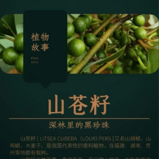 鸢嫣凌山苍子喷雾精油传统工艺纯植物提取30ml防蚊户外 3瓶 30ml