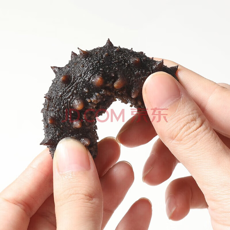 【新年送礼】舌馋鲜年货海鲜礼盒大连辽刺参海参鲍鱼礼盒 9S速发海参20只【礼盒装】