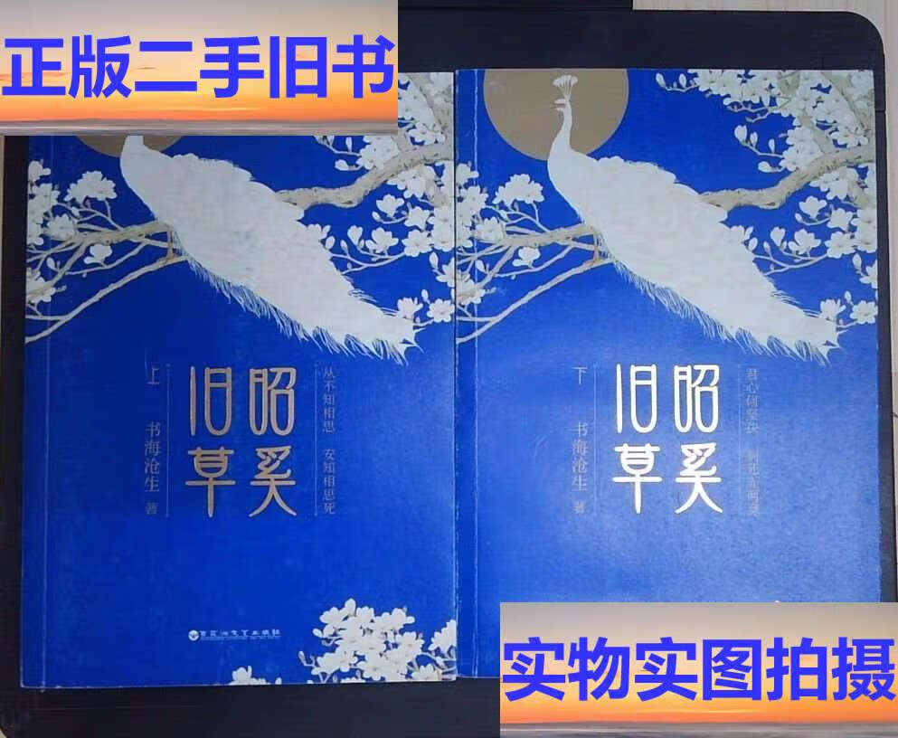 昭奚旧草上下册 /书海沧生 百花洲文艺