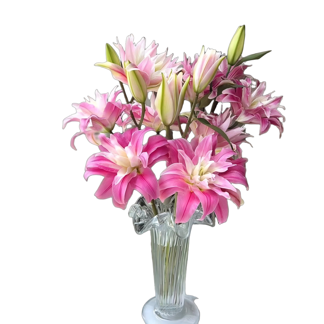 花间町香水百合花鲜花A级【随机百合5枝】云南基地南斗鲜切花束源头直发