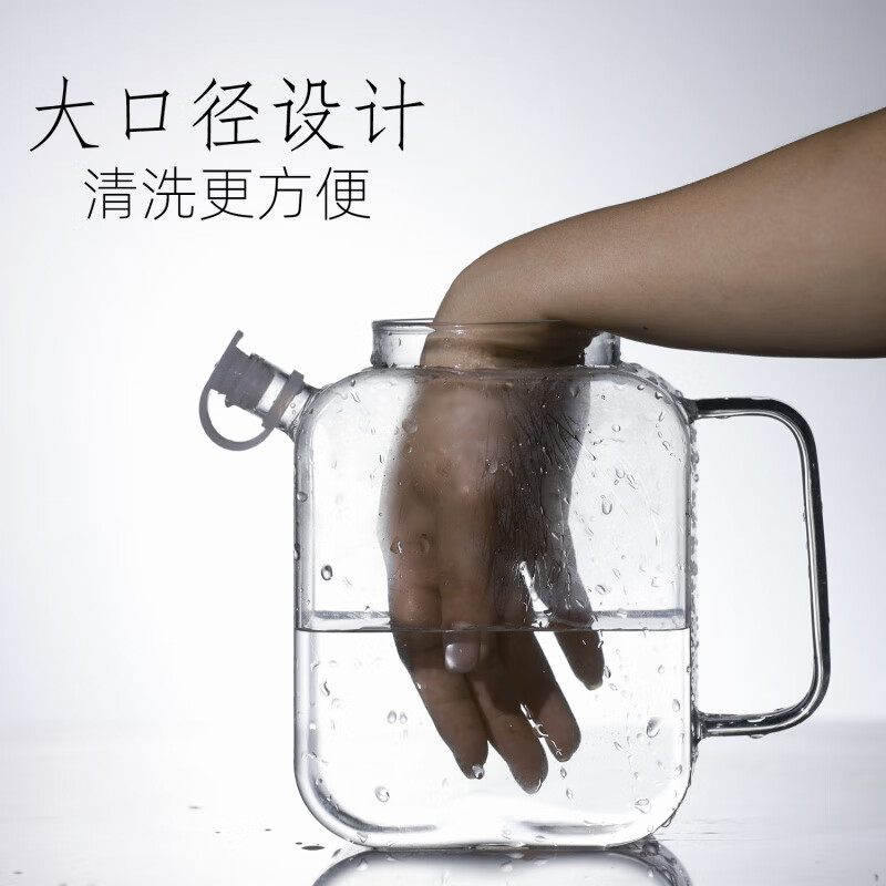 AILUKI日本冰箱冷水壶玻璃冷泡茶壶冰水壶凉茶冷萃凉水杯耐高温家用储水 不锈钢盖 750ml
