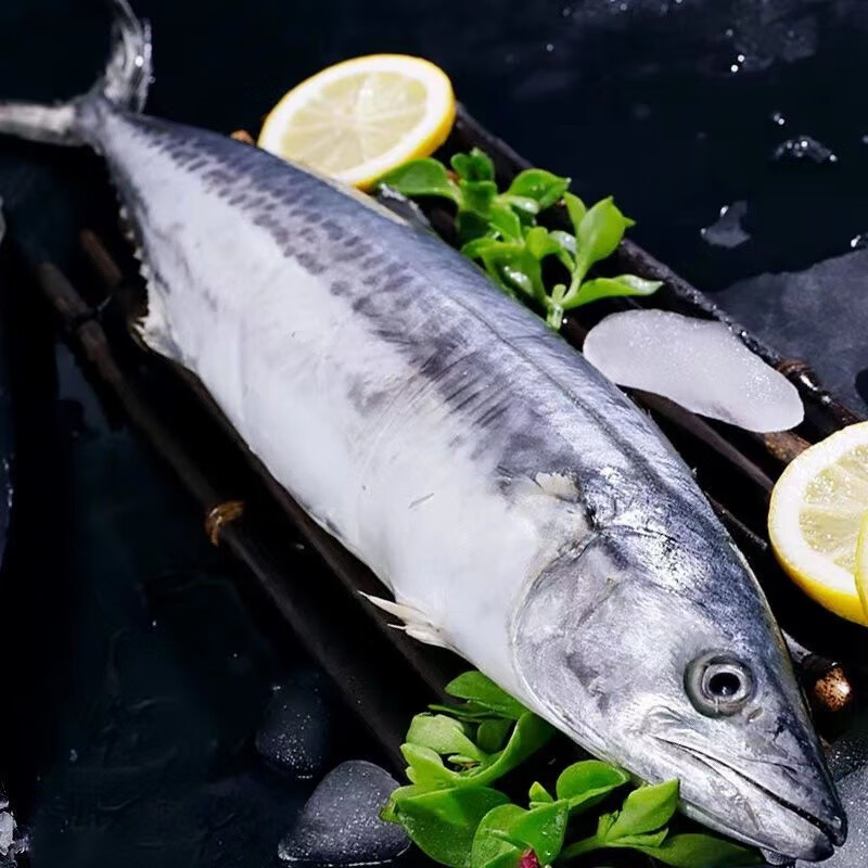 鲜品虎【jd京鲜配送】大鲅鱼新鲜冷冻鲜活燕鲅鱼大马鲛鱼馅深海鱼 3斤