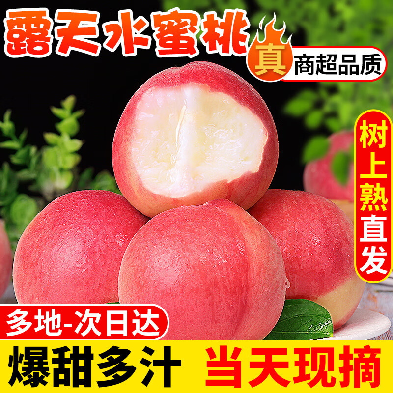 探味君 新鲜露天水蜜桃 应当季时令现摘新鲜水果毛桃子脆甜桃肥桃 生鲜 净重4.5-5斤 【试吃中果】美味尝鲜