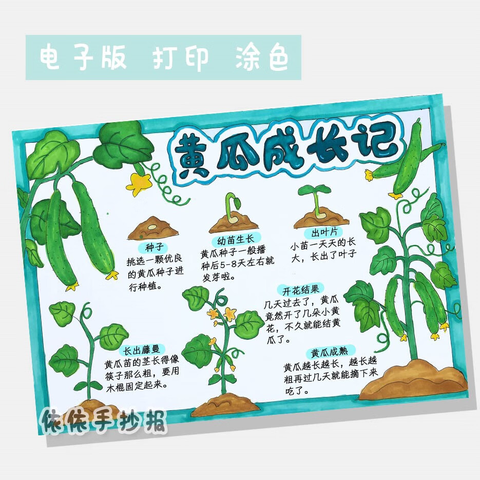 363-黄瓜成长记植物生长记录卡自然笔记绘画手抄报线稿打印模板