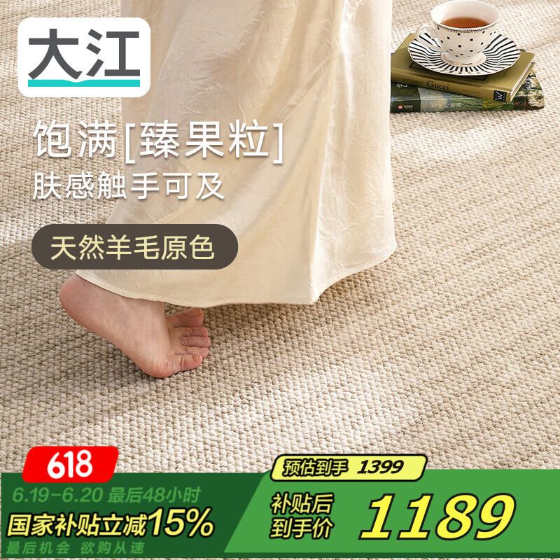 大江地毯客厅高级感 进口羊毛地毯沙发大宅耐脏免洗地毯卧室200x300cm